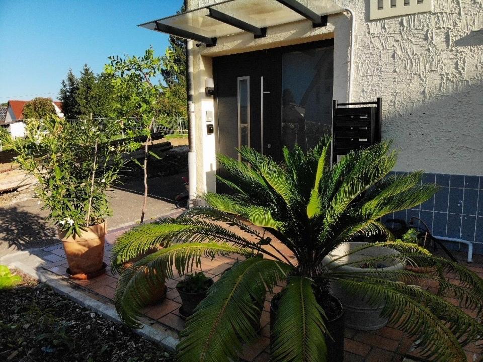 Gemütliche 3 Zimmer Wohnung mit großzügiger Terrasse im Grünen Reutlingen Exterior foto
